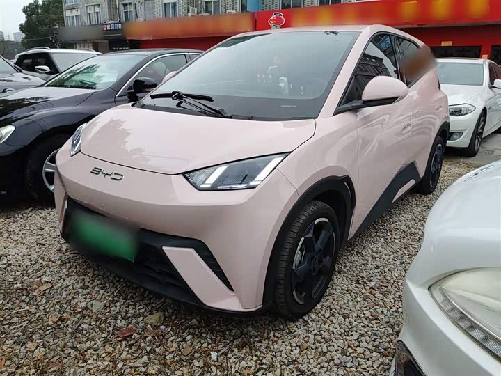 Фото 2 - BYD Seagull