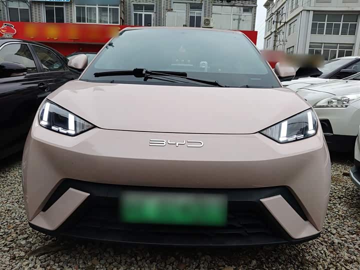 Фото 3 - BYD Seagull