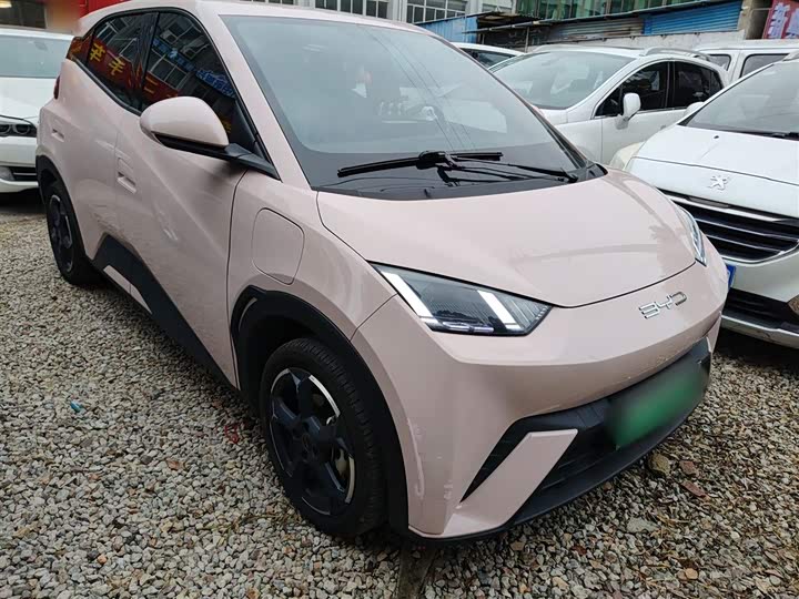 Фото 4 - BYD Seagull