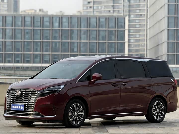 Фото 1 - Buick GL8 ES