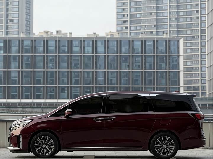 Фото 4 - Buick GL8 ES