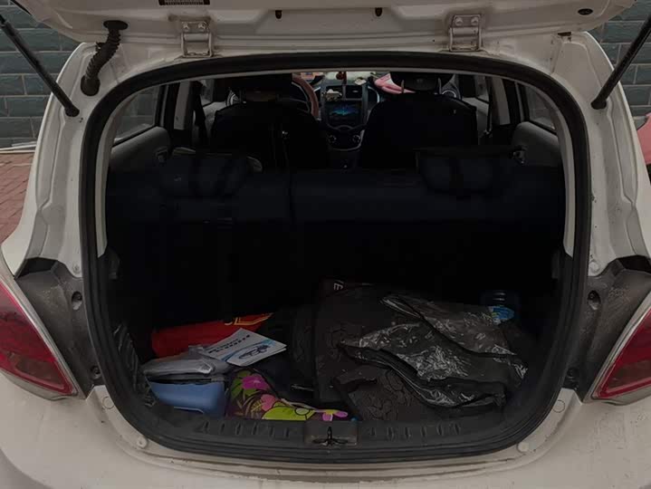 Фото 4 - Changan BenBen E-Star