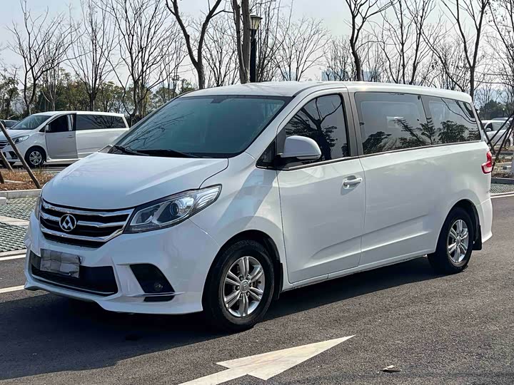 Фото 1 - Maxus G10