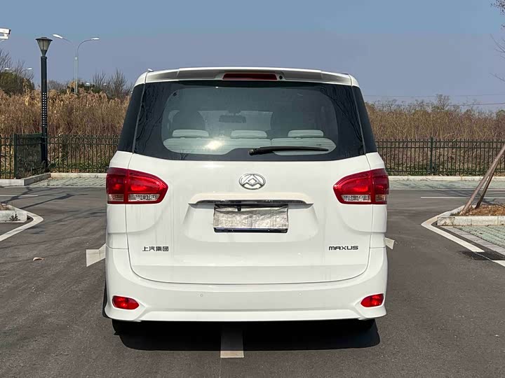 Фото 3 - Maxus G10