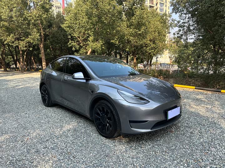 Фото 3 - Tesla Model Y