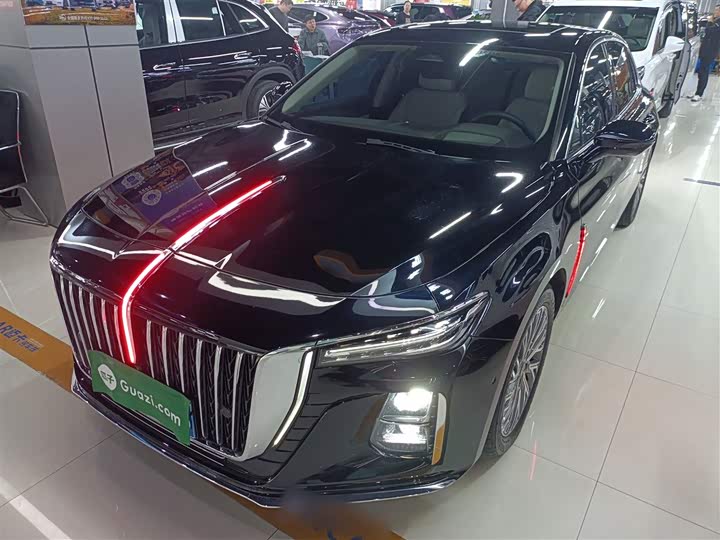 Фото 2 - Hongqi H5