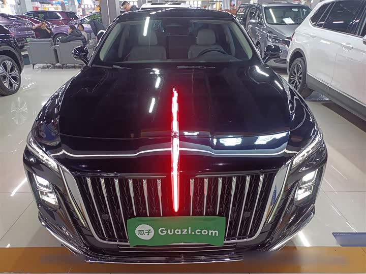 Фото 3 - Hongqi H5