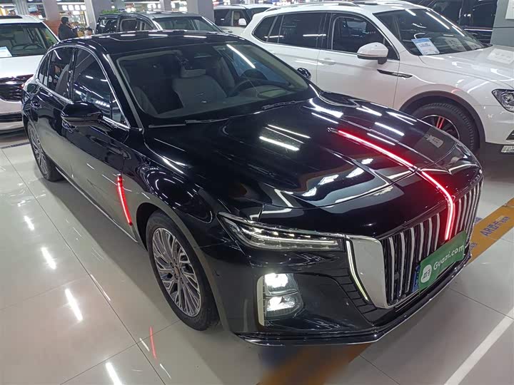 Фото 4 - Hongqi H5