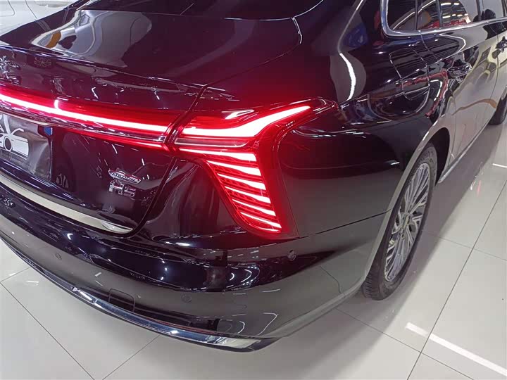 Фото 8 - Hongqi H5