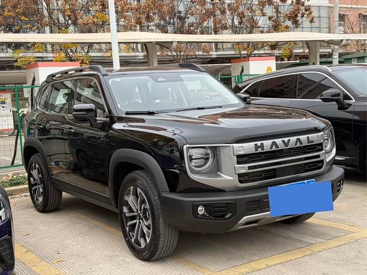Фото 3 - Haval Dargo