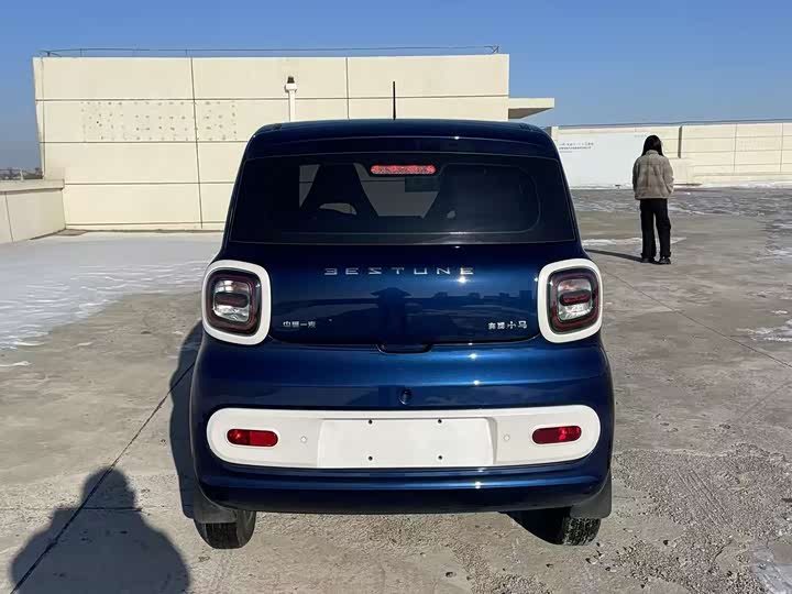 Фото 8 - Bestune Pony