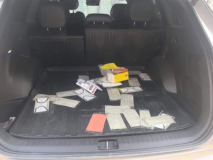 Фото 4 - Geely Monjaro