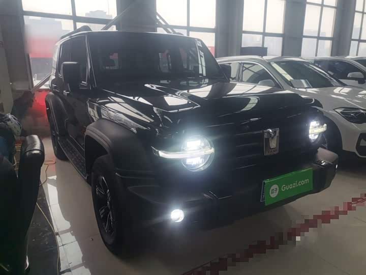 Фото 4 - Tank 300