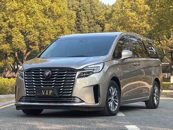 Фото 1 - Buick GL8 ES