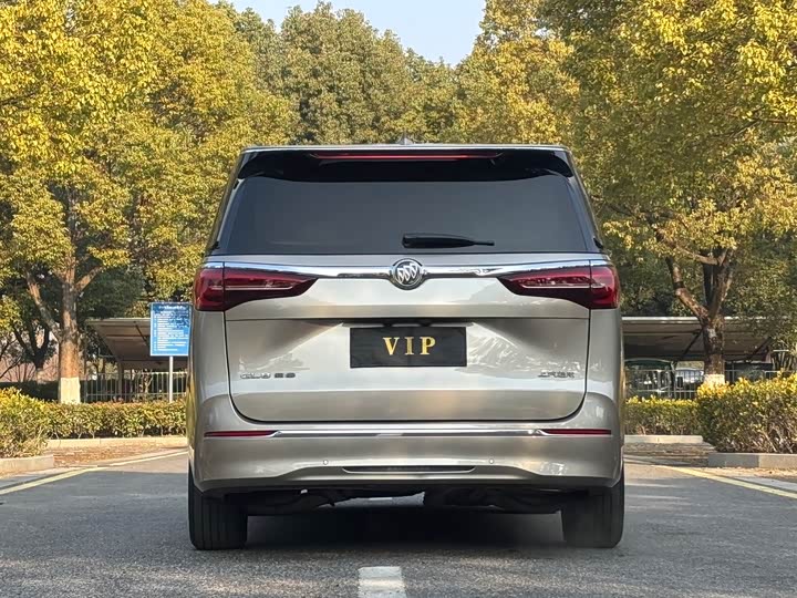 Фото 5 - Buick GL8 ES