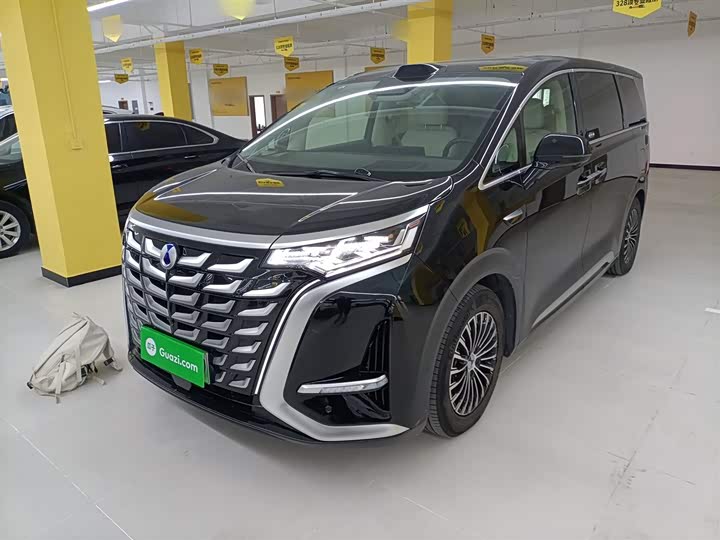 Фото 2 - Denza D9