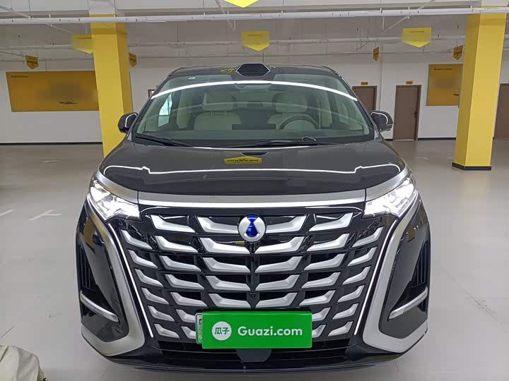 Фото 3 - Denza D9