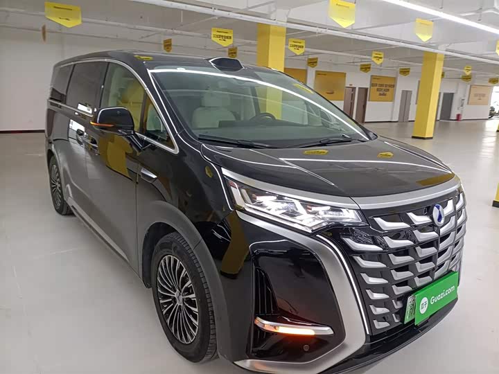 Фото 4 - Denza D9