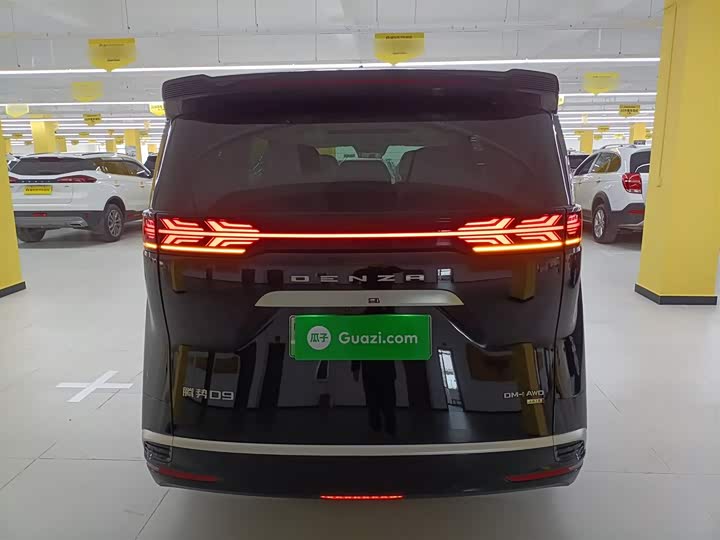 Фото 6 - Denza D9