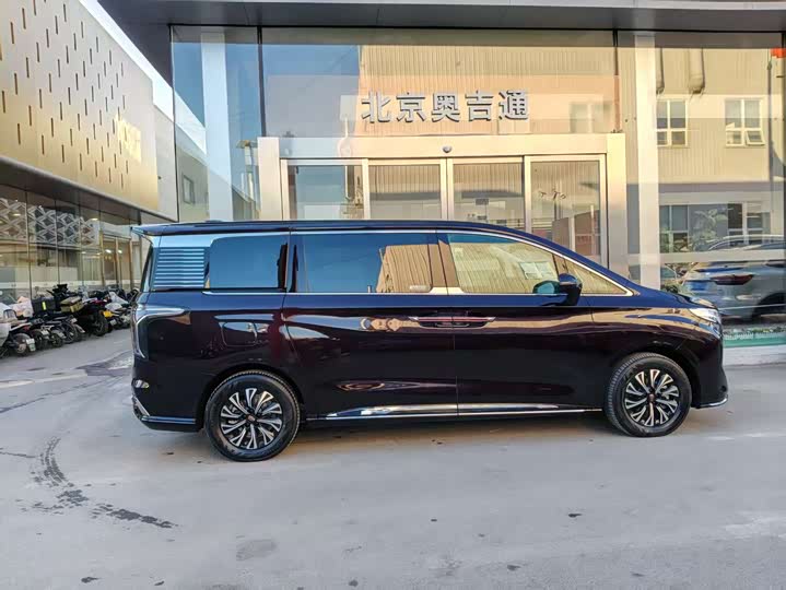 Фото 9 - Hongqi HQ9 Hybrid