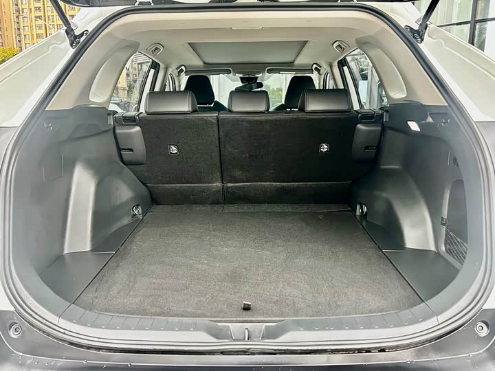 Фото 9 - Toyota Wildlander