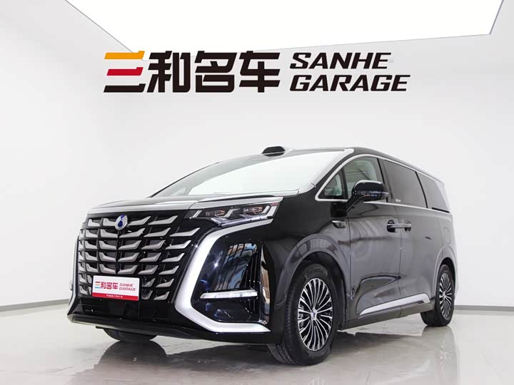 Фото 1 - Denza D9