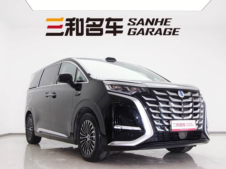 Фото 2 - Denza D9