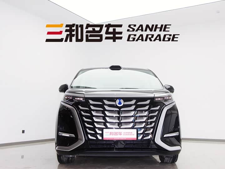 Фото 3 - Denza D9