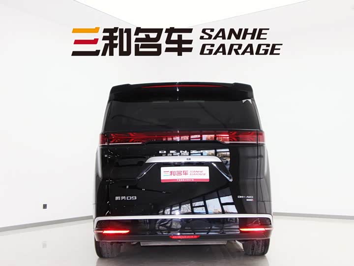 Фото 6 - Denza D9