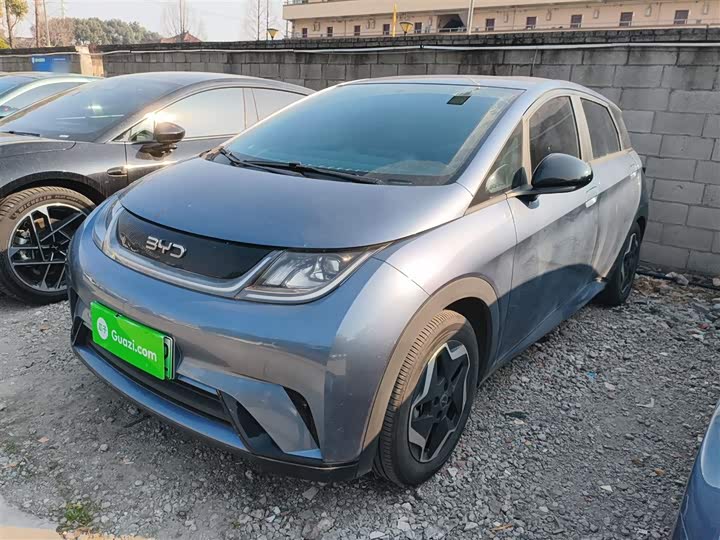 Фото 2 - BYD Dolphin