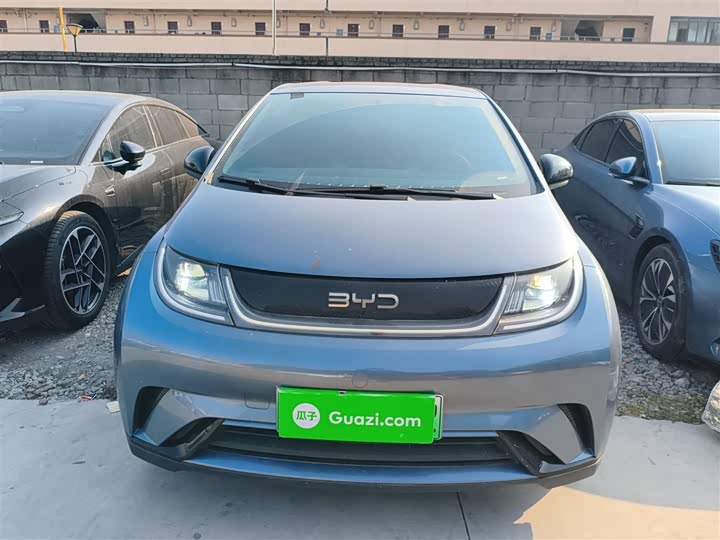 Фото 3 - BYD Dolphin