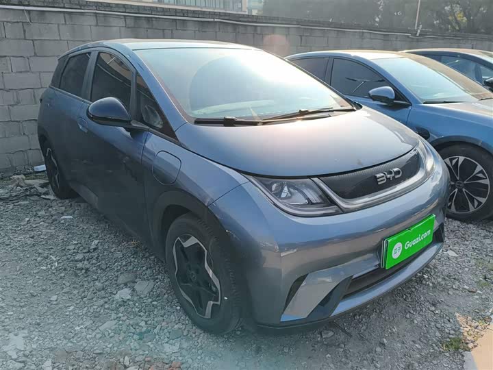 Фото 4 - BYD Dolphin