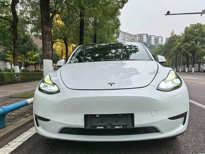Фото 2 - Tesla Model Y