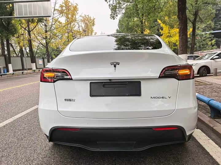 Фото 8 - Tesla Model Y