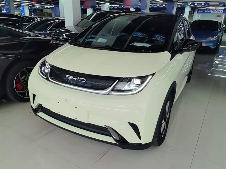 Фото 2 - BYD Dolphin