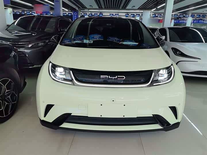 Фото 3 - BYD Dolphin