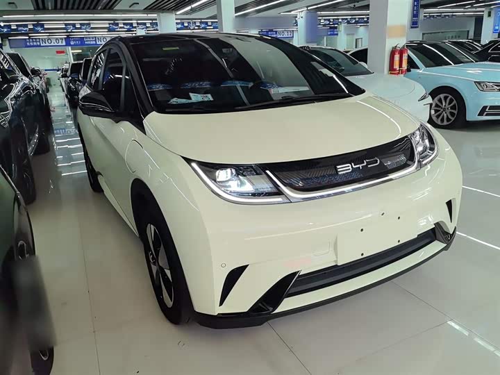 Фото 4 - BYD Dolphin