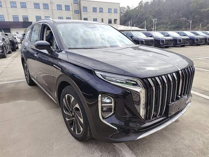 Фото 4 - Hongqi HS7 Hybrid