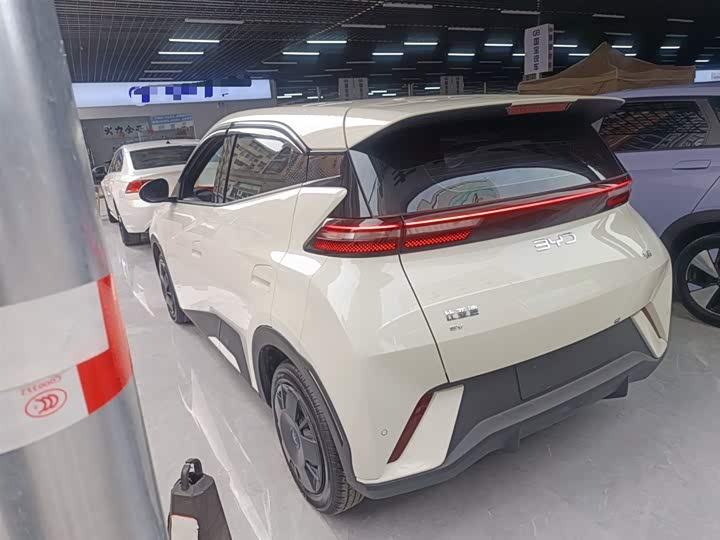 Фото 5 - BYD Seagull