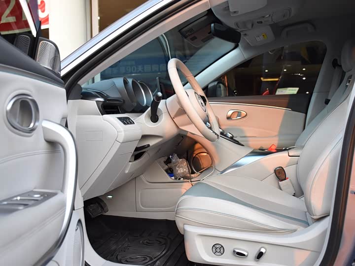 Фото 6 - Ora Lightning Cat (07)