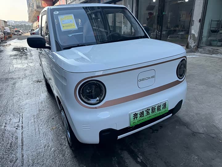 Фото 5 - Geely Galaxy Panda Mini