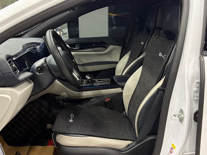 Фото 8 - BYD Qin Plus