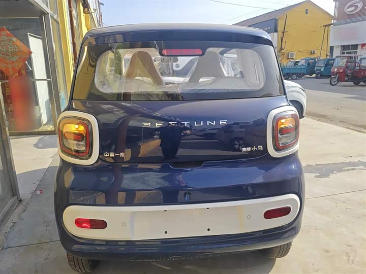 Фото 6 - Bestune Pony