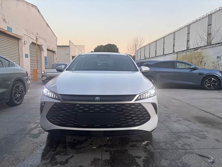 Фото 2 - BYD Qin Plus
