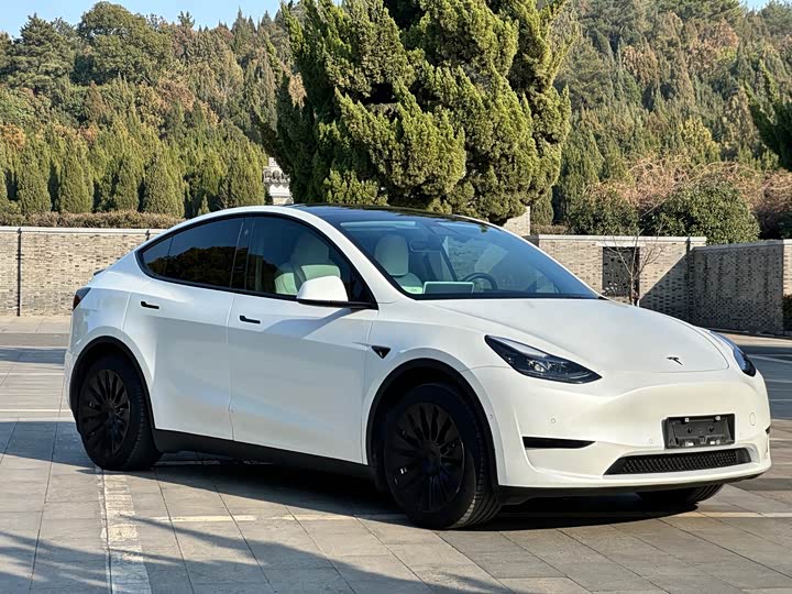 Фото 3 - Tesla Model Y