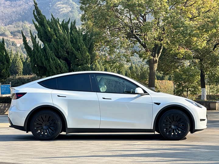 Фото 4 - Tesla Model Y