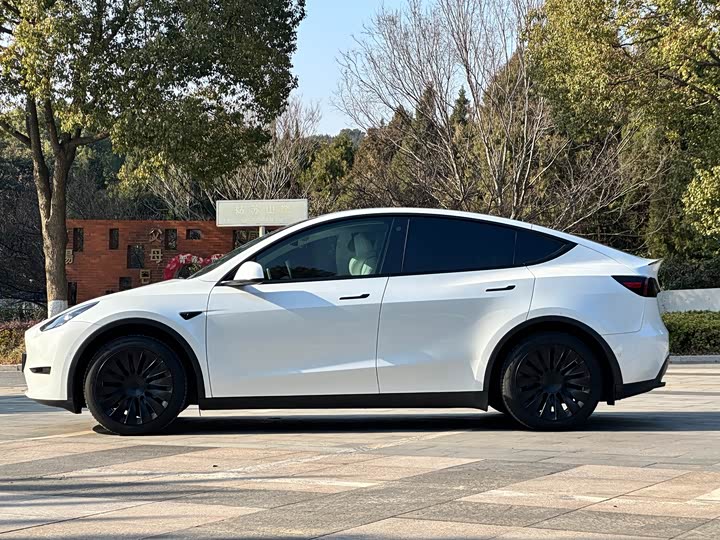Фото 8 - Tesla Model Y