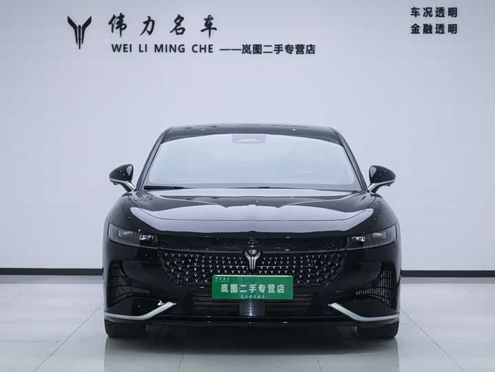 Фото 2 - Voyah Passion