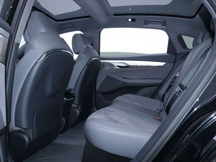 Фото 8 - Voyah Passion