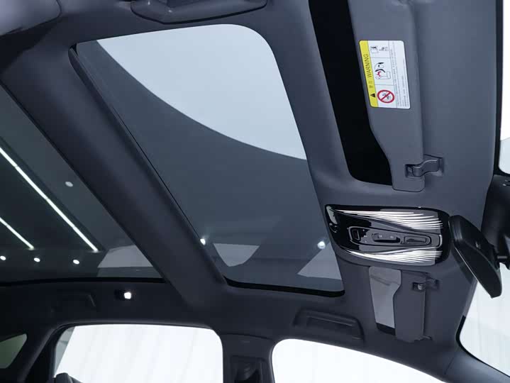 Фото 9 - Voyah Passion